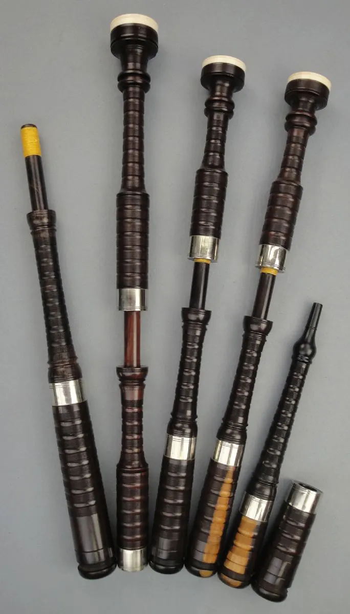 David Glen & Sons, Circa 1910, Cocuswood, Nickel Ferrules, New Imitation Ivory Rings