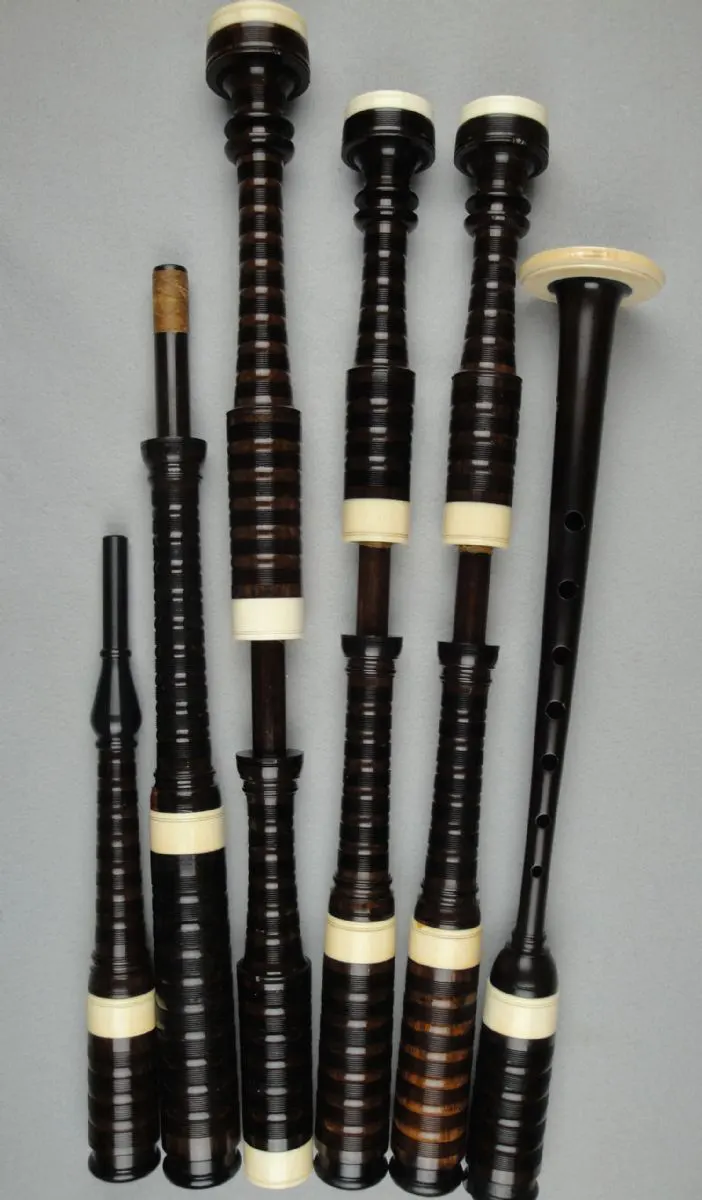 David Glen, Stamped, Circa 1900, Cocuswood, Ivory, Button Mounts