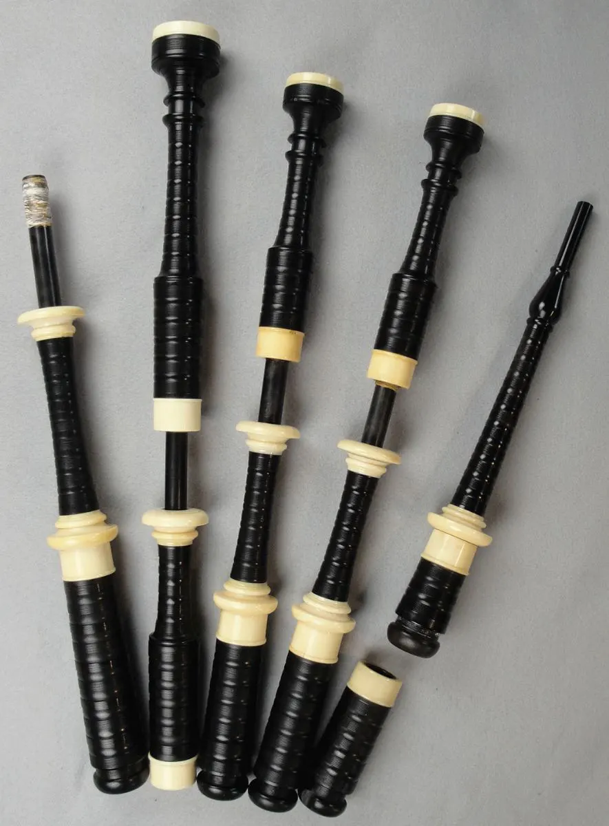 Duncan Macdougall, Ebony, Natural Mounts, Circa 1880s